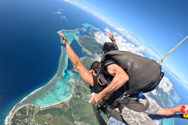 Two people skydiving over an island with turquoise waters and clear blue sky.